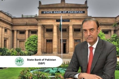 Pakistan’s Domestic Savings Rate Far Below Regional Averages: SBP Governor