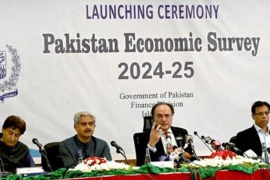 Key highlights of Pakistan Economic Survey 2024-25