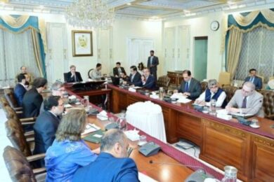 Pakistan to launch AI Platform for Women Entrepreneurs